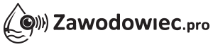 zawodowiec.pro